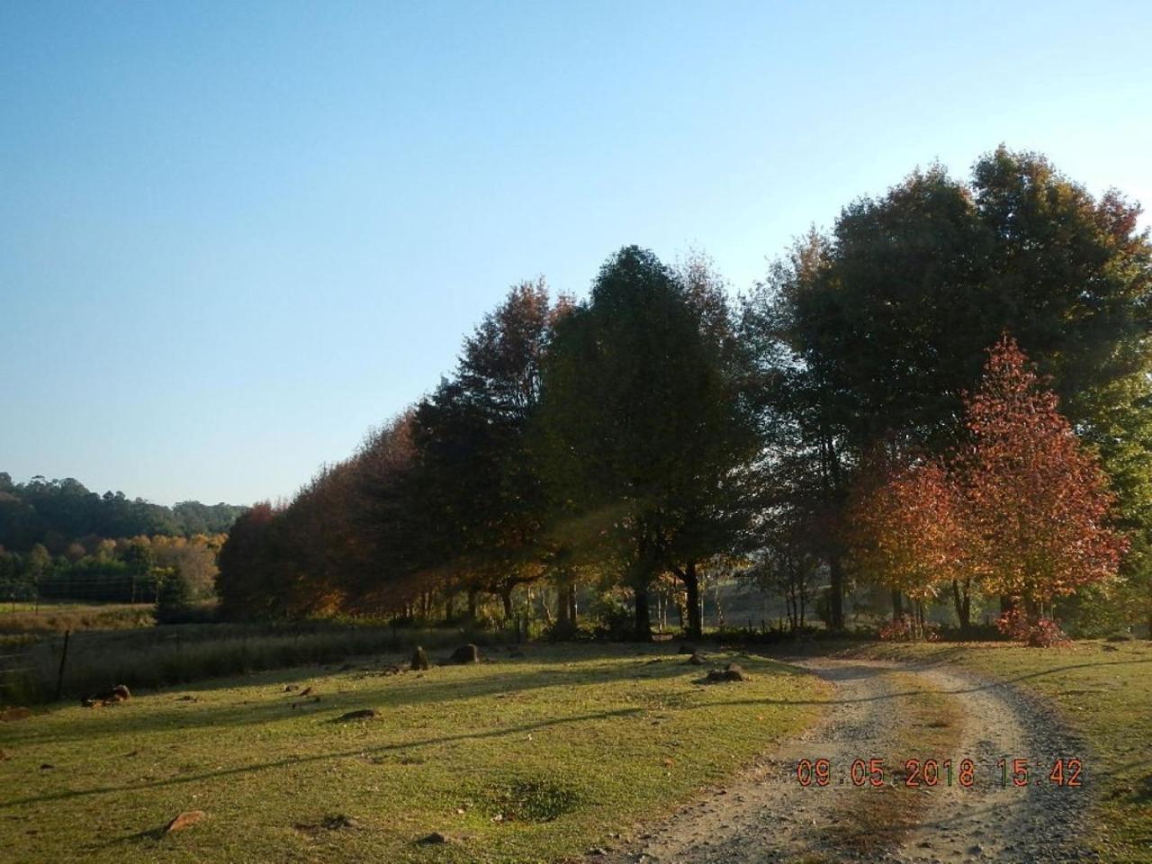 The Falls Cottages Howick Exteriér fotografie