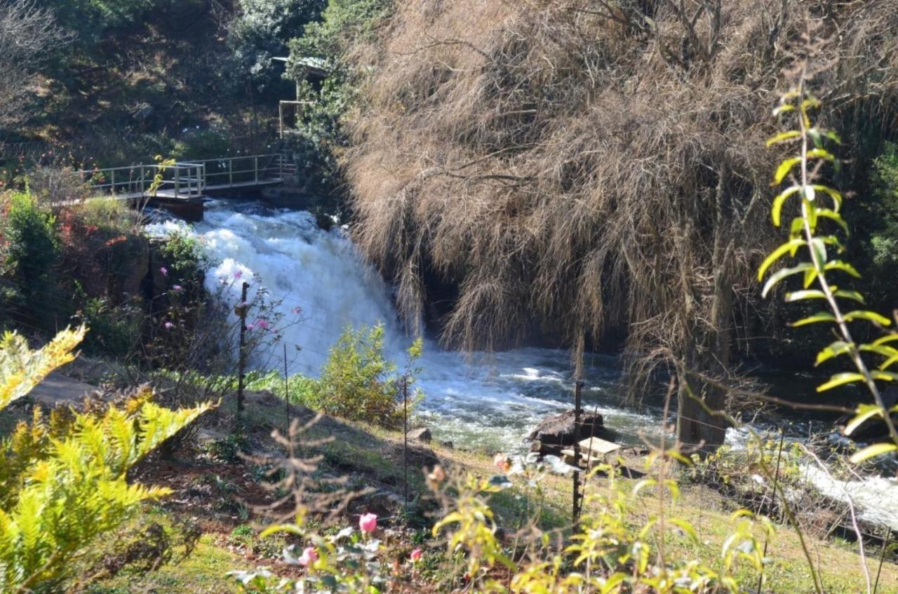 The Falls Cottages Howick Exteriér fotografie